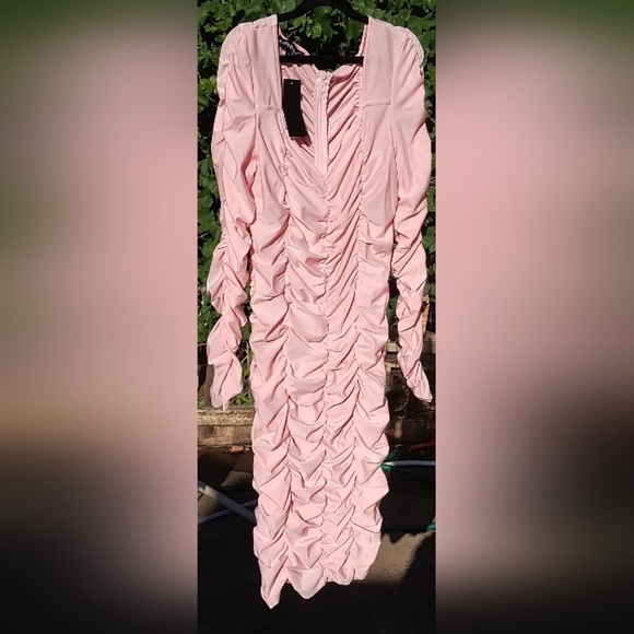 Eilly Nazar pink gathered LS dress New with tags - Picture 1 of 4
